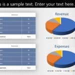 Income Statement PowerPoint Template & Google Slides Theme