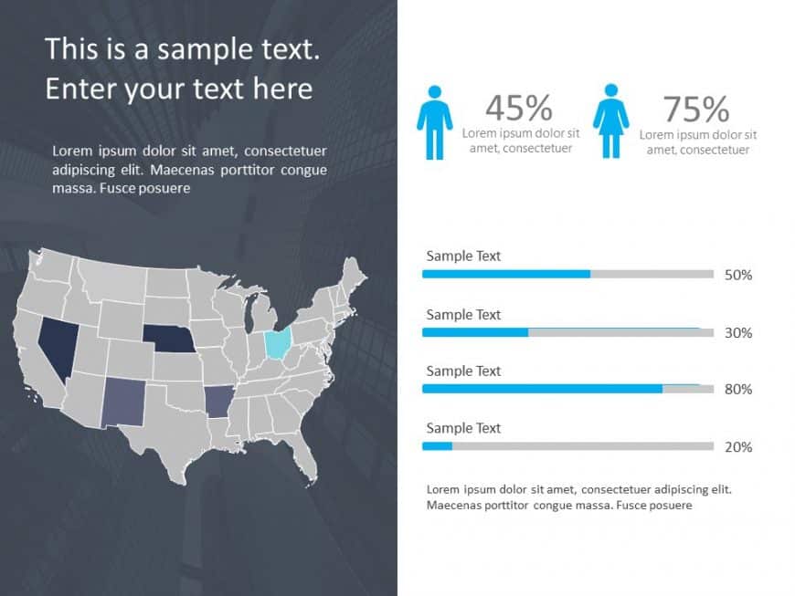 Demographic Profile 2 PowerPoint Template