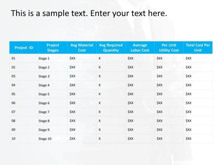 Project Budget Pricing Proposal PowerPoint Template & Google Slides Theme