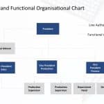 Line and Functional Organization Structure PowerPoint Template & Google Slides Theme