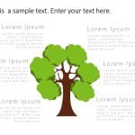 Tree Growth PowerPoint Template 1