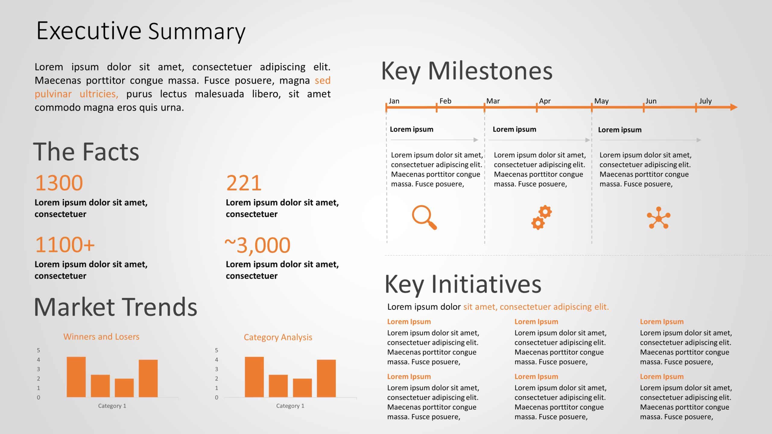 executive summary information system example