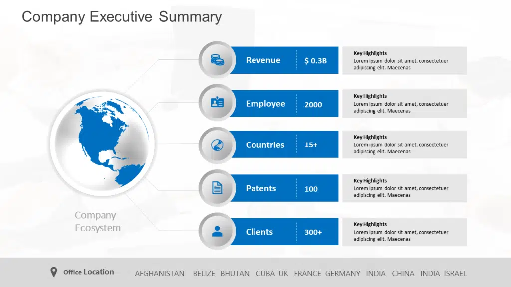 Company Executive Summary Template