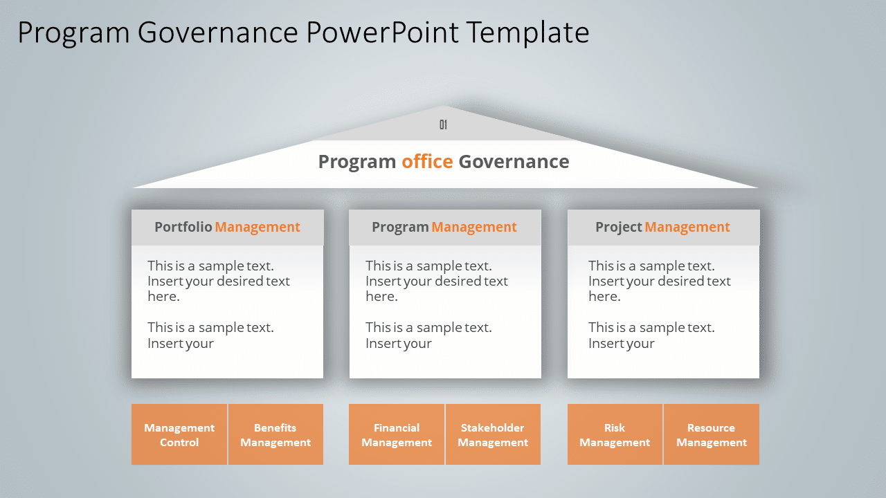 Program Governance 1 PowerPoint Template & Google Slides Theme