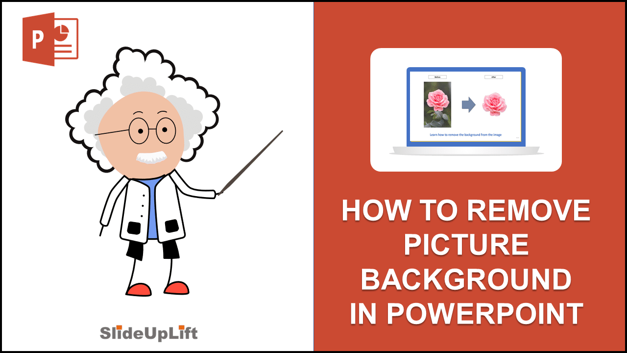 How to remove Picture Background in PowerPoint