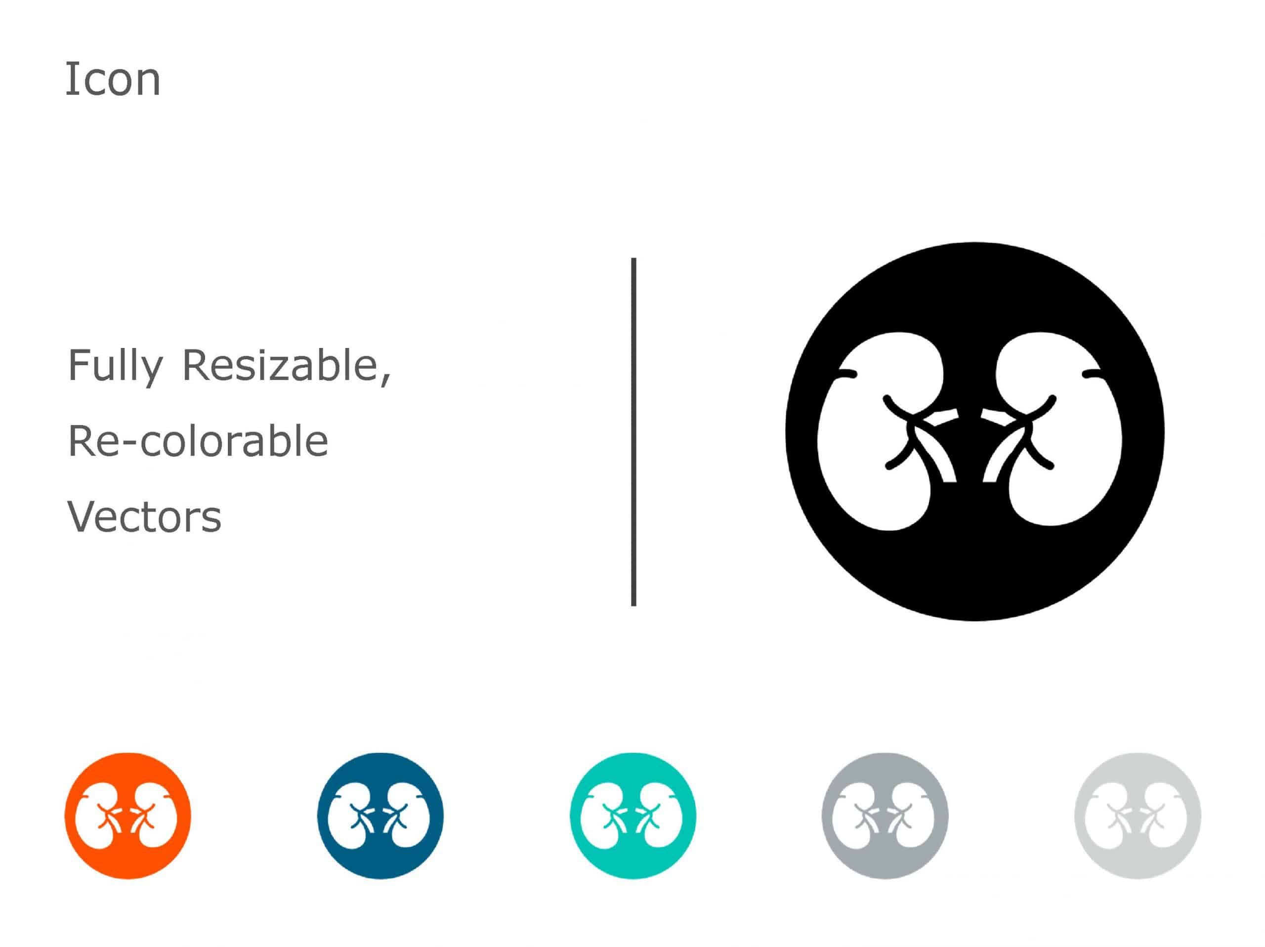 Kidney Icon PowerPoint Template