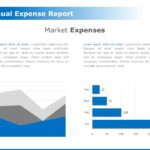 Annual Expense Report 01
