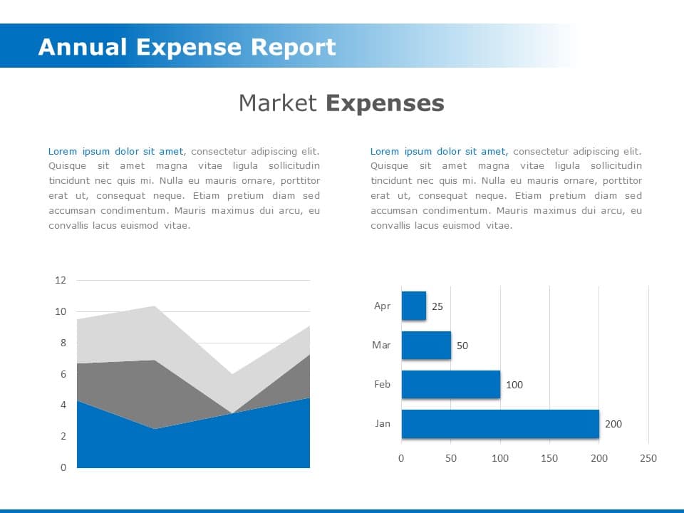 Annual Expense Report 01 PowerPoint Template & Google Slides Theme