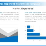 Annual Expense Report 01 PowerPoint Template & Google Slides Theme