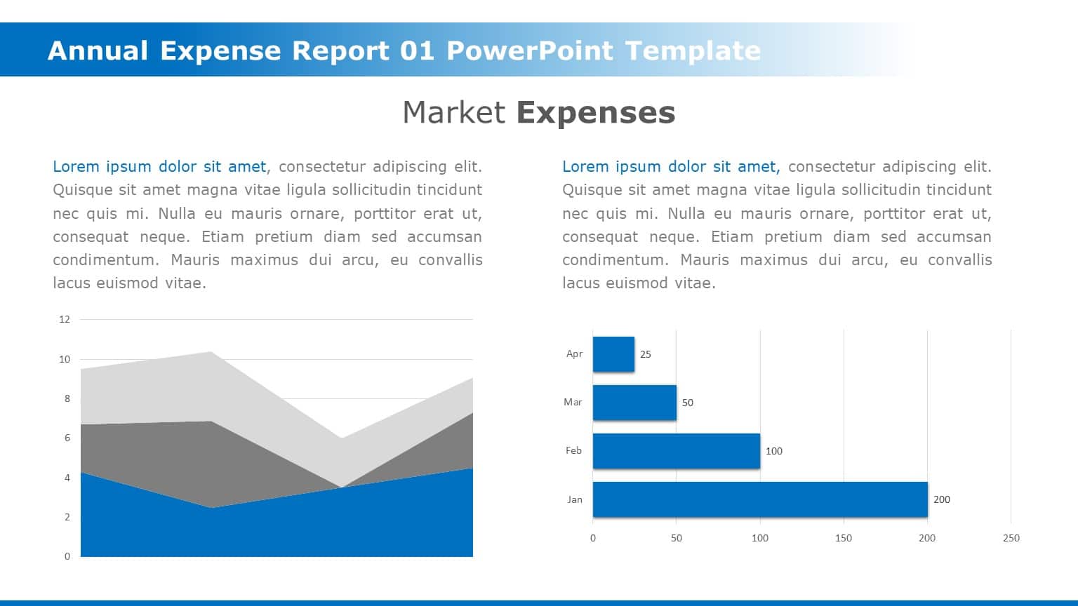 Blue and Gray Expense Report with Dual Chart Visualization Presentation ...