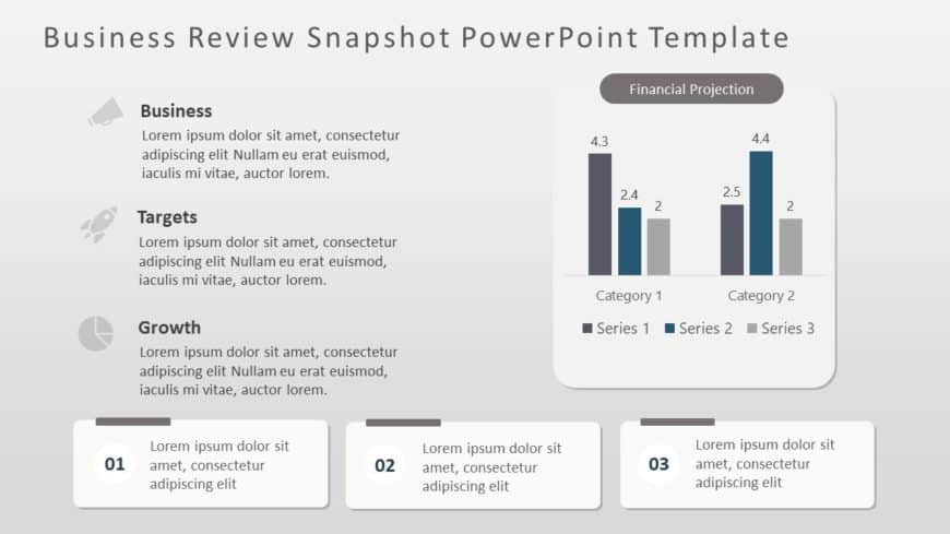 Business Review Snapshot PowerPoint Template