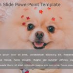 Conclusion Slide 24 PowerPoint Template & Google Slides Theme