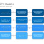 Executive Coaching Flow