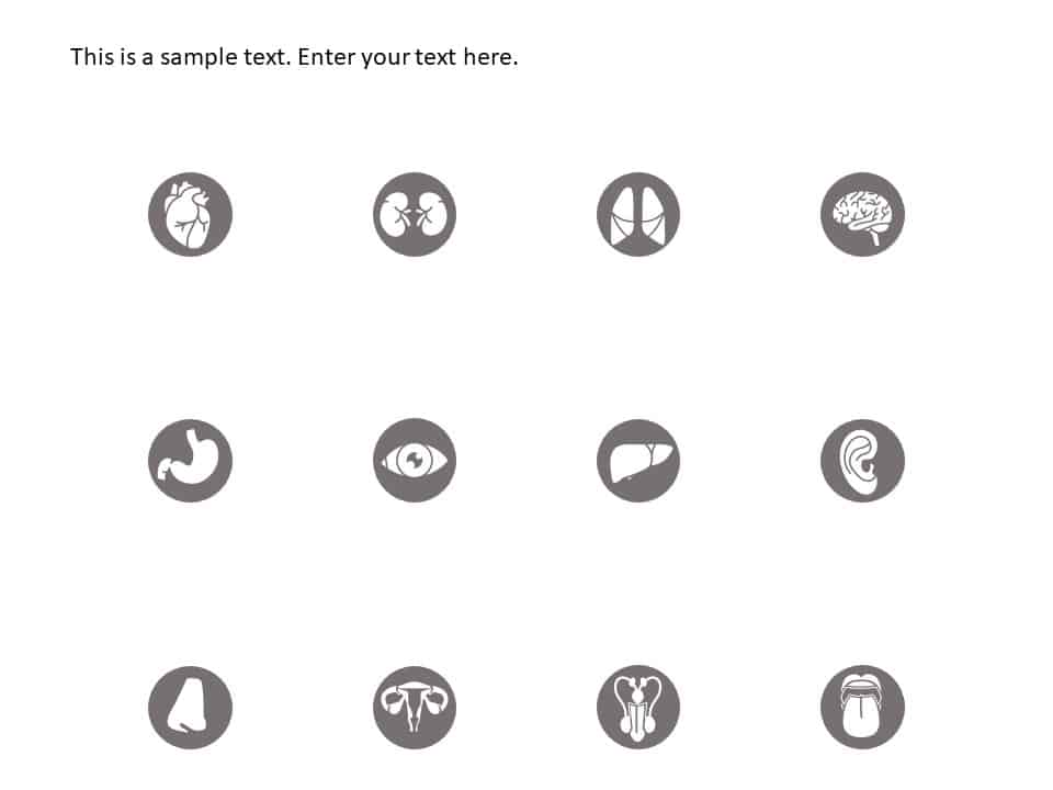 Anatomy Icons PowerPoint Template & Google Slides Theme