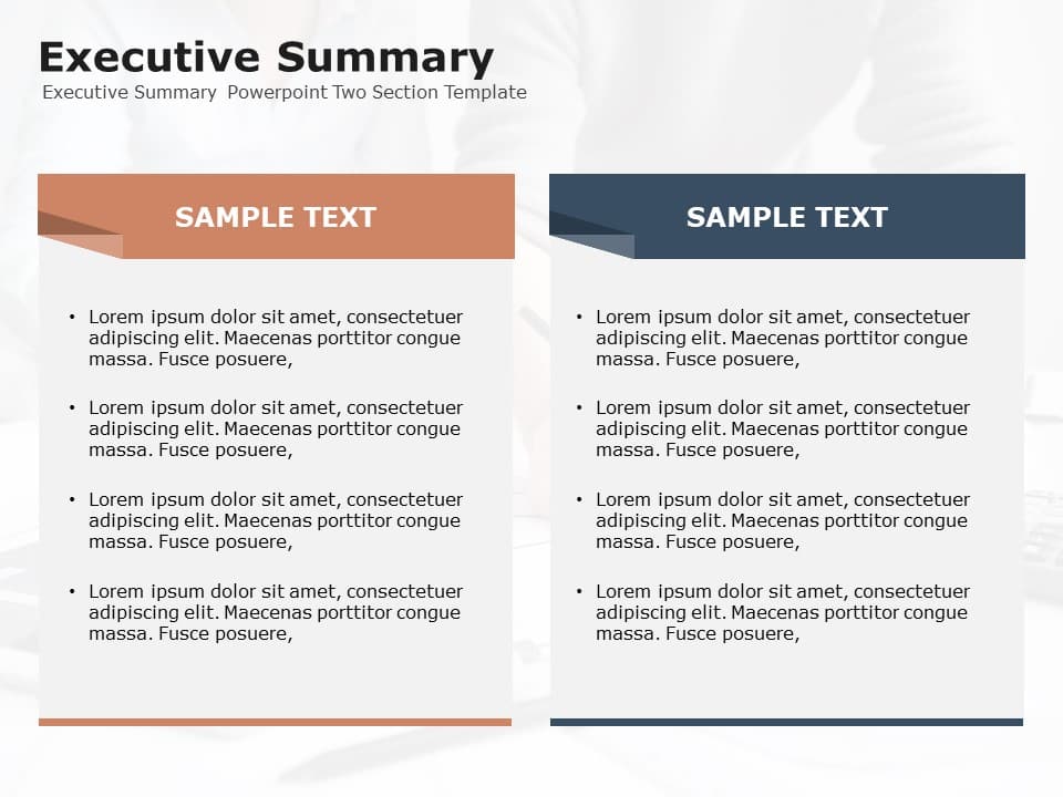 Executive Summary Powerpoint Two Section Template Executive Summary Templates Slideuplift