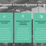 Professional Cleaning Services Template