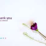 Thank You Slide 28 PowerPoint Template