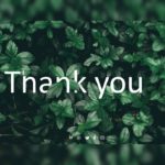 Thank You Slide 23 PowerPoint Template & Google Slides Theme