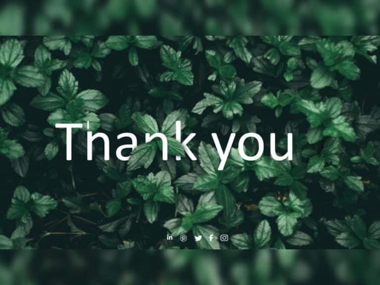 Thank You Slide 23 PowerPoint Template & Google Slides Theme