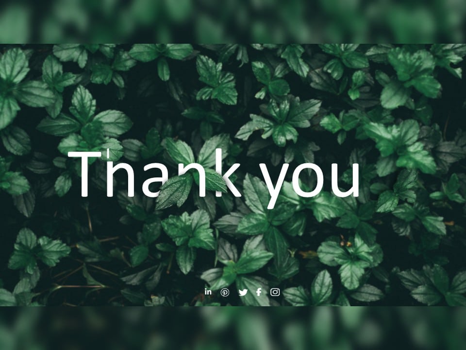 Thank You Slide 23 PowerPoint Template