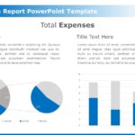 Total Expense Report PowerPoint Template & Google Slides Theme