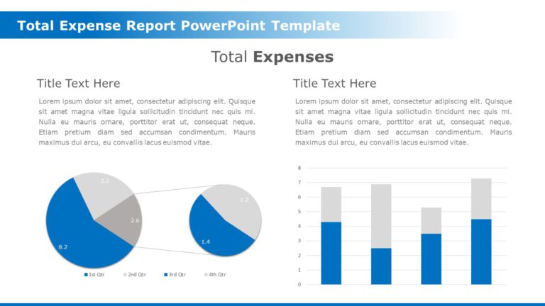 Total Expense Report PowerPoint Template & Google Slides Theme