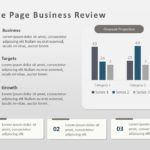 Business Review Snapshot PowerPoint Template & Google Slides Theme