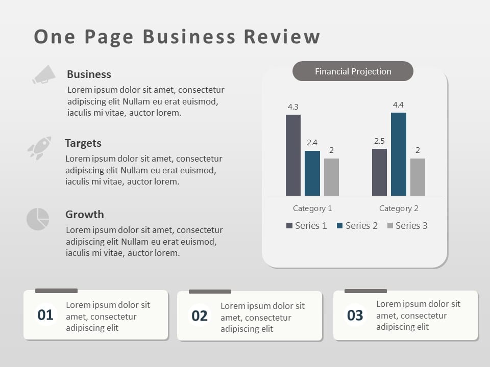 Business Review Snapshot PowerPoint Template