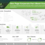 One Page Fact Sheet 02 PowerPoint Template & Google Slides Theme