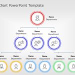 organization chart 03 PowerPoint Template & Google Slides Theme