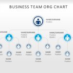 organization chart 04