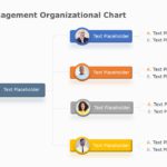 organization chart 10