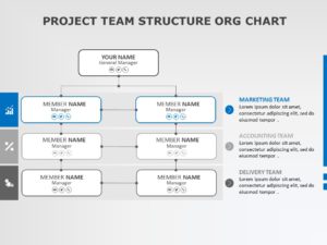 PROJECT TEAM STRUCTURE ORG CHART