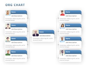 Succession Planning Org Chart