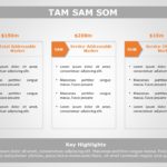 TAM SAM SOM 02 PowerPoint Template & Google Slides Theme