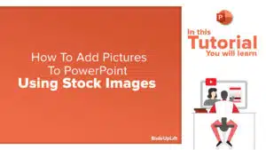 How To Add Pictures To PowerPoint Using Stock Images | PowerPoint Tutorial