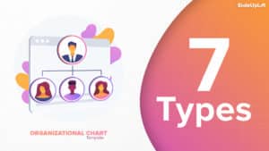 7 types of Organizational Chart Templates that you can steal