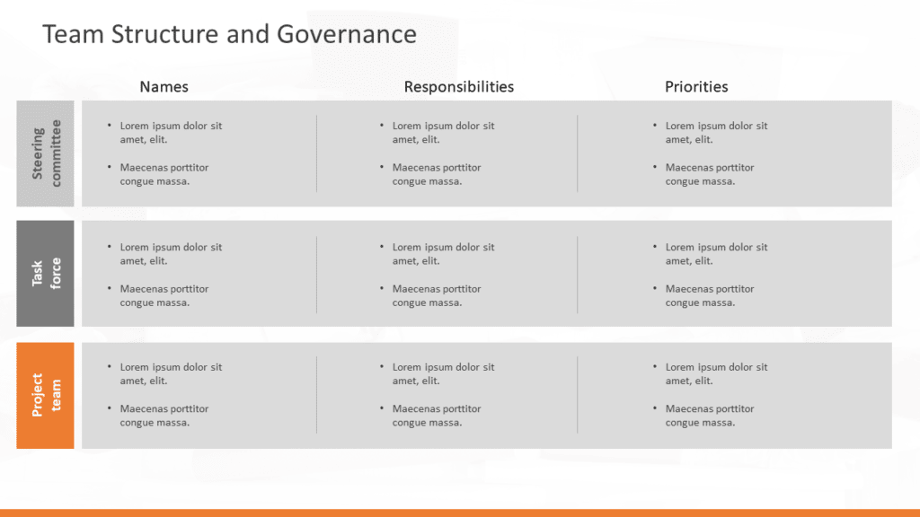Team Structure and Governance Slide