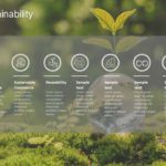 Green Sustainability PowerPoint Template & Google Slides Theme