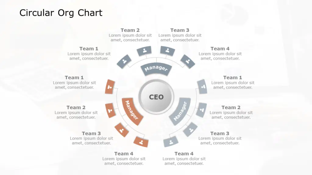 Circular Org Chart