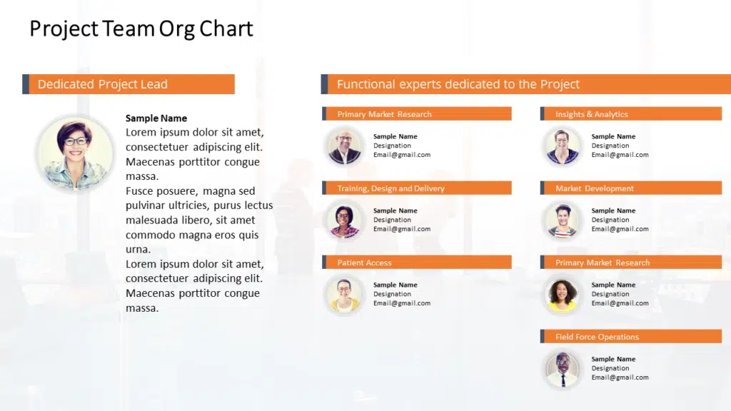 Project Team Org Chart