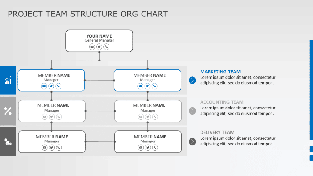 Project Team Structure Org Chart