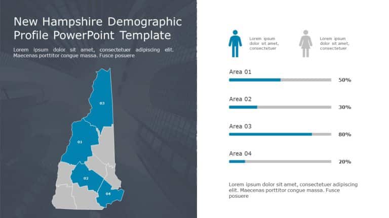 New Hampshire Demographic Profile PowerPoint Template & Google Slides Theme