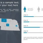 Nebraska Demographic Profile 9 PowerPoint Template & Google Slides Theme