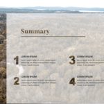 Four Point Summary PowerPoint Template & Google Slides Theme