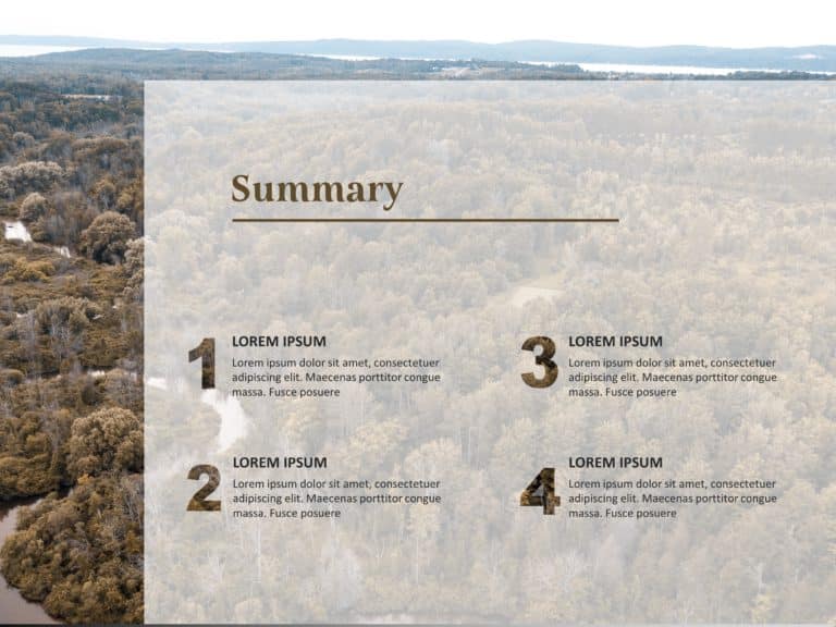 Four Point Summary PowerPoint Template & Google Slides Theme