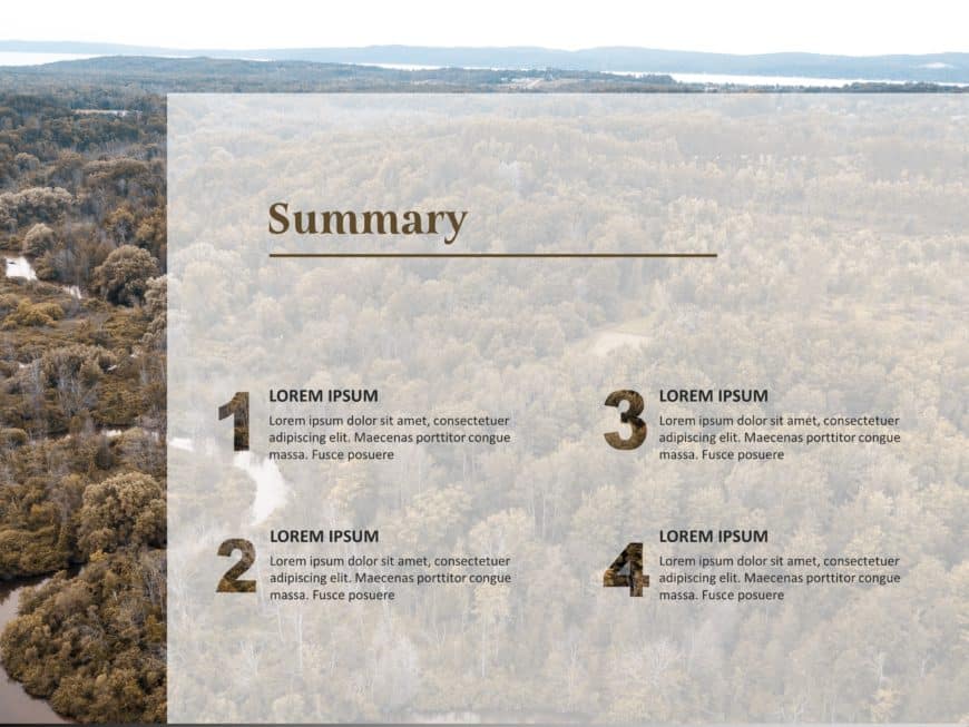 Four Point Summary PowerPoint Template