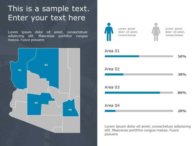 Arizona Demographic Profile 9 PowerPoint Template & Google Slides Theme
