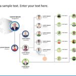 Company Org Chart PowerPoint Template & Google Slides Theme