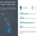 Hawaii Demographic Profile 9 PowerPoint Template & Google Slides Theme